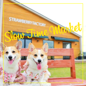 第5回「わんちゃんと楽しめるマルシェ」開催のお知らせ