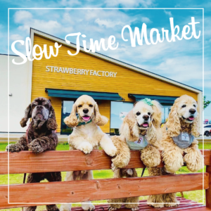 第4回「わんちゃんと楽しめるマルシェ」開催のお知らせ