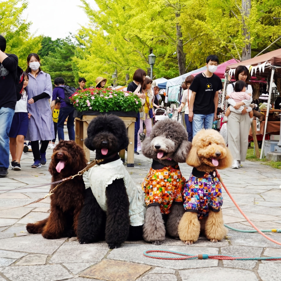 スロータイムマーケット