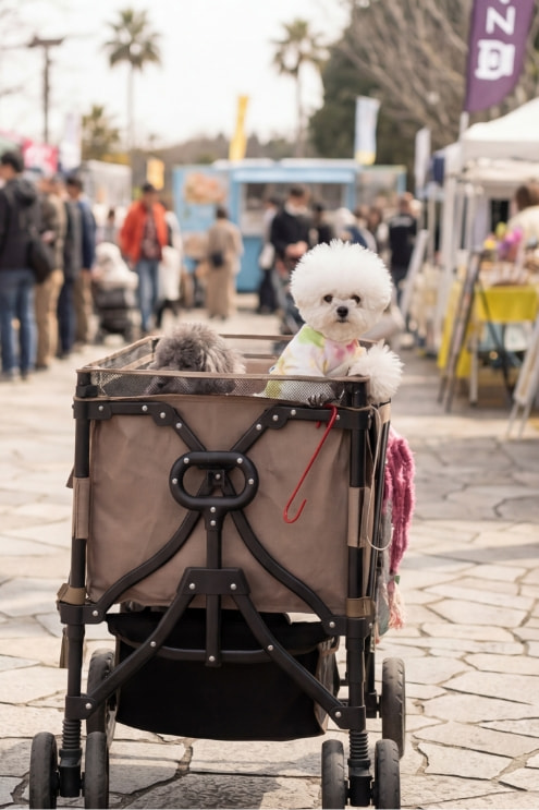 スロータイムマーケット